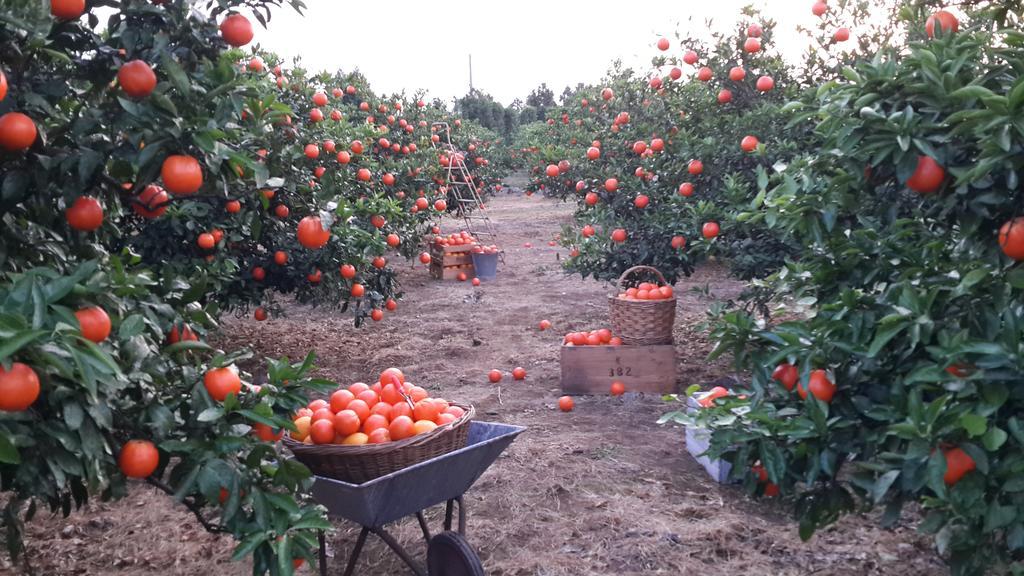 Banhakeura Pension Jeju Exteriör bild